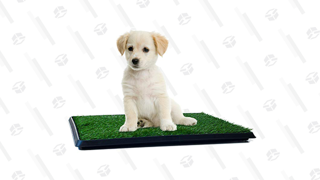 If your senior dog has become prone to indoor accidents, give them a safe space to use the bathroom when you’re not home or it’s late at night with the PETMAKER Puppy Potty Trainer.